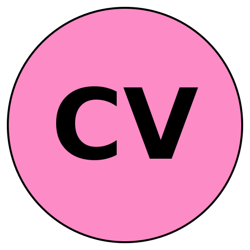 CraftyVision